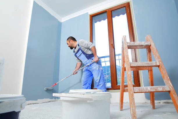 Best Basement Mold Removal  in Meadow Les, AK
