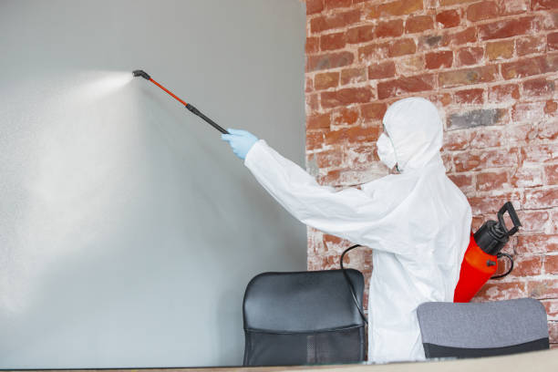 Best Mold Remediation for Healthcare Facilities  in Meadow Les, AK