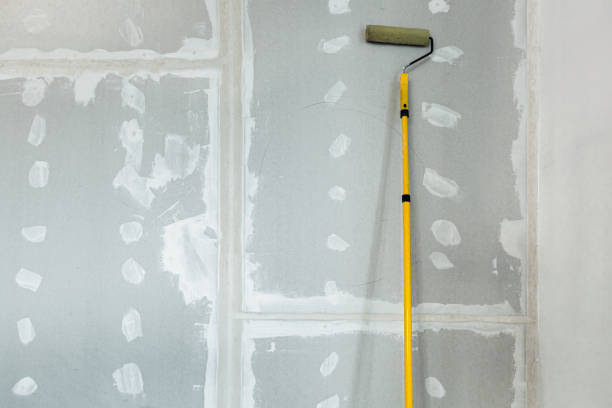 Best Mold Removal for HVAC Installations  in Meadow Les, AK