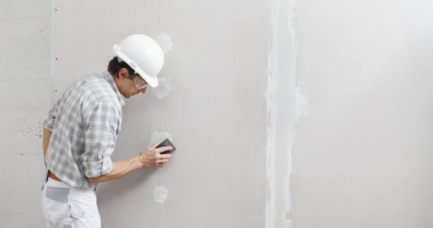 Best Dehumidification Services  in Meadow Les, AK