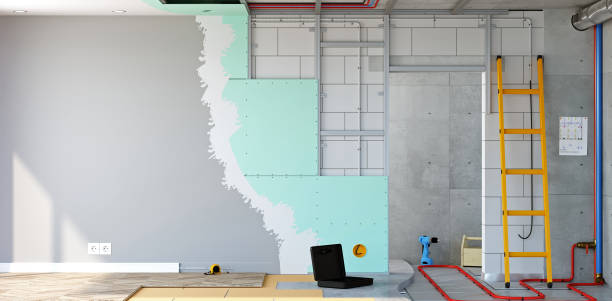 Best Mold Documentation for Insurance Claims  in Meadow Les, AK