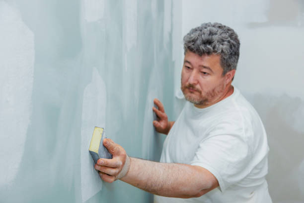 Best Mold Remediation for Vacation Homes  in Meadow Les, AK
