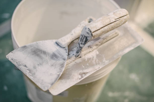 Best Emergency Mold Remediation  in Meadow Les, AK