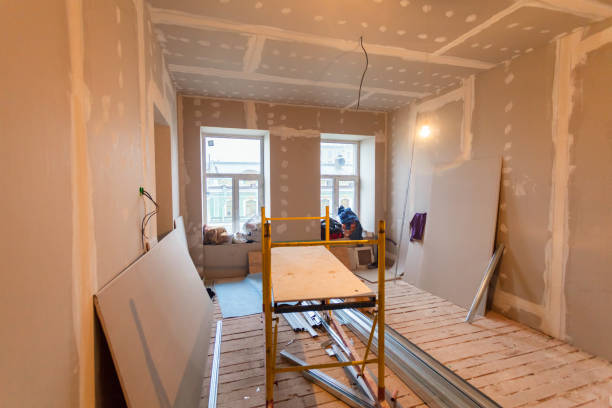 Best Forensic Mold Investigation  in Meadow Les, AK