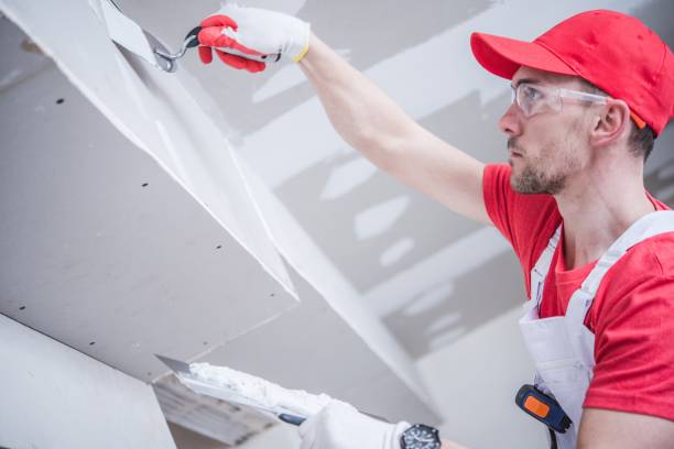 Best HVAC Mold Inspection and Cleaning  in Meadow Les, AK